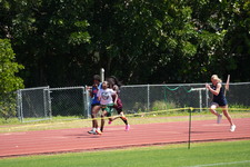 Enlarge photo 431
