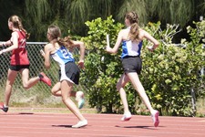 Enlarge photo 451