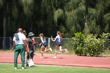 Enlarge photo 455