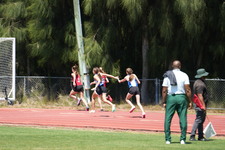 Enlarge photo 462