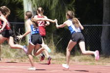 Enlarge photo 461