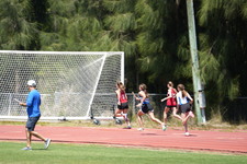 Enlarge photo 465