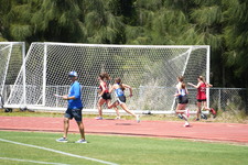 Enlarge photo 473