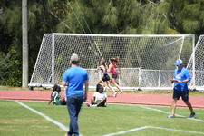 Enlarge photo 475