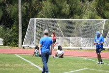 Enlarge photo 477