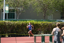 Enlarge photo 479