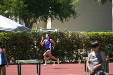 Enlarge photo 488