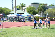 Enlarge photo 528