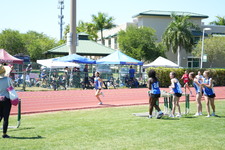 Enlarge photo 530