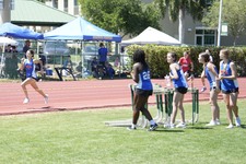 Enlarge photo 529