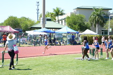 Enlarge photo 531