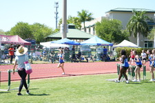 Enlarge photo 532