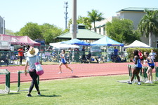 Enlarge photo 533