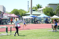 Enlarge photo 534