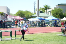 Enlarge photo 535