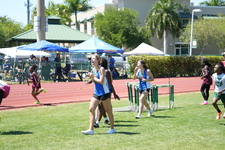 Enlarge photo 545