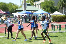 Enlarge photo 549