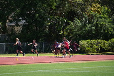 Enlarge photo 569