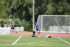 Enlarge photo 618
