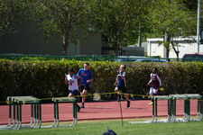 Enlarge photo 620
