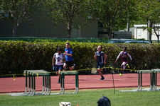 Enlarge photo 622