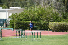 Enlarge photo 679