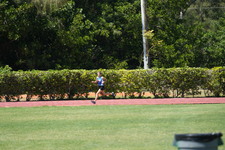 Enlarge photo 791