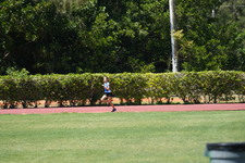 Enlarge photo 793