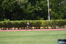 Enlarge photo 796