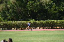 Enlarge photo 798