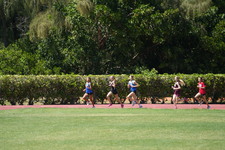 Enlarge photo 859