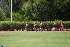 Enlarge photo 866