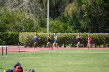 Enlarge photo 867