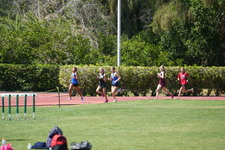 Enlarge photo 871