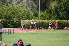 Enlarge photo 870