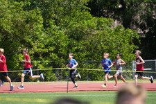 Enlarge photo 973