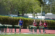 Enlarge photo 1071