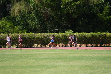 Enlarge photo 1137