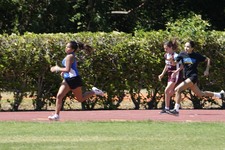 Enlarge photo 1136