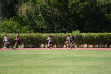 Enlarge photo 1138