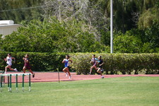 Enlarge photo 1145
