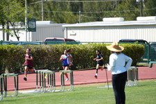Enlarge photo 1146