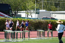 Enlarge photo 1176