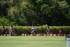 Enlarge photo 1196