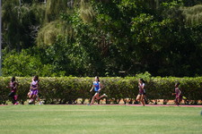 Enlarge photo 1197