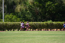 Enlarge photo 1288