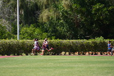 Enlarge photo 1290