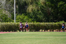 Enlarge photo 1291