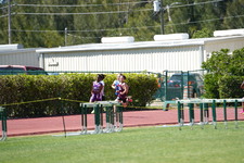 Enlarge photo 1294
