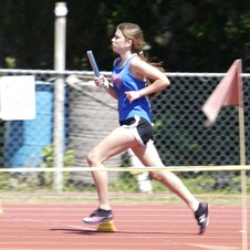 Enlarge photo 1317